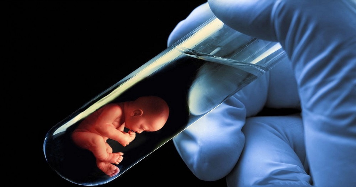 What Is Test Tube Baby Process Cost Risk Success Rate