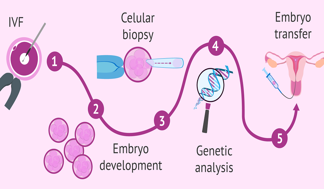 What is Preimplantation Genetic Testing & Diagnosis?