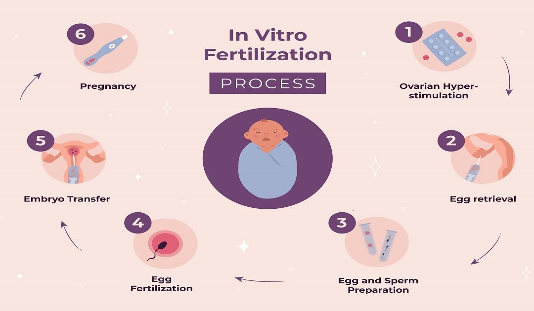 Short or Long IVF Protocol: Which is Better?